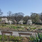 GRUGAPARK Essen (12)