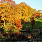 Grugapark Essen - Blick vom Alpinum zum Grugaturm