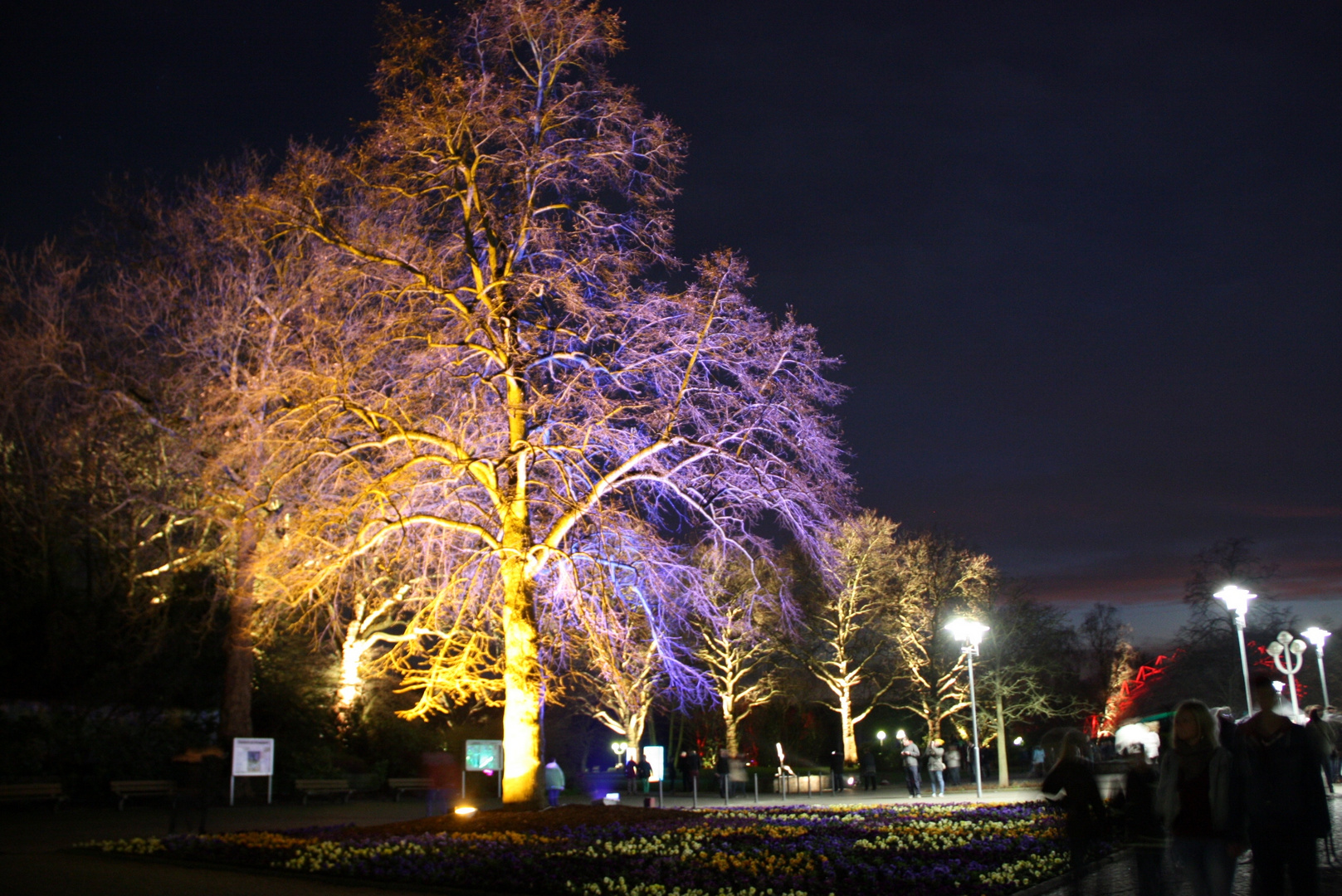 Grugapark Essen, Entree, Parkleuchten 2014