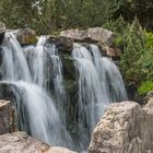 Grugapark Essen 