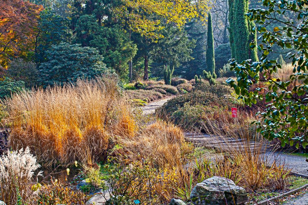 Grugapark in Essen