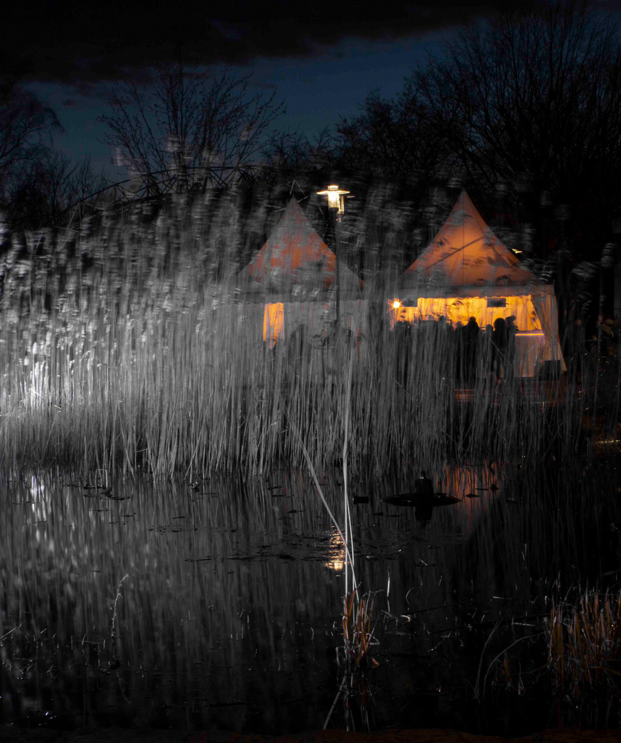 Grugapark. Parkleuchten. 2020.