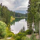 Grumbacher Teich I  -  Goslar-Hahnenklee/Harz