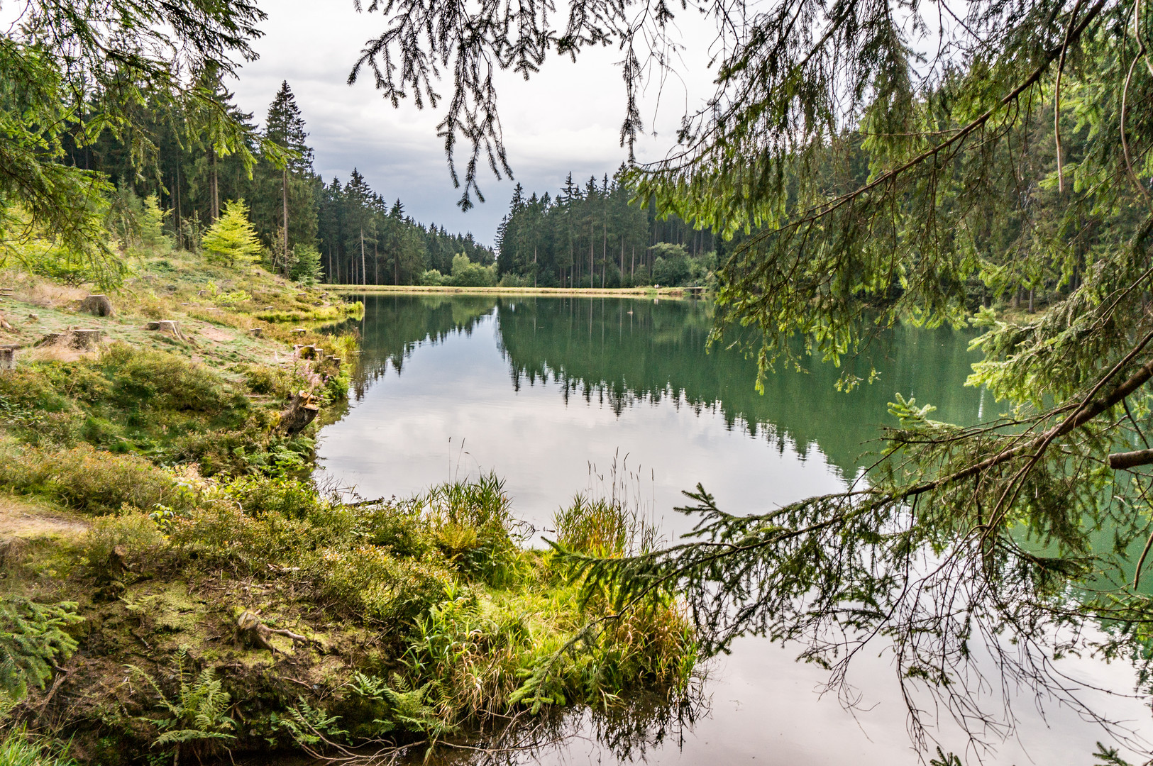 Grumbacher Teich II GoslarHahnenklee/Harz Foto & Bild wald, wasser