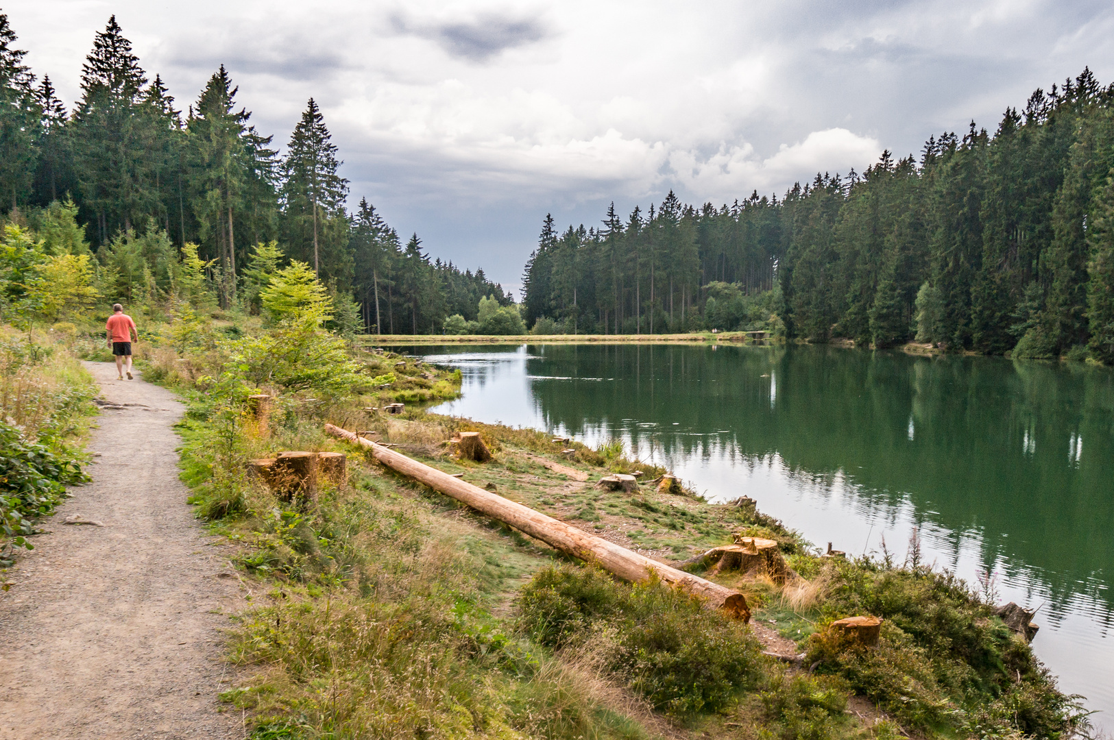 Grumbacher Teich III GoslarHahnenklee/Harz Foto & Bild wald