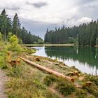 Grumbacher Teich III - Goslar-Hahnenklee/Harz