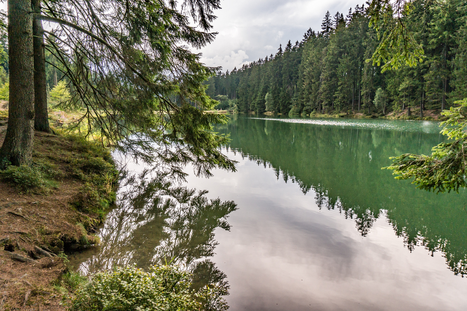Grumbacher Teich IV GoslarHahnenklee/Harz Foto & Bild wald, wasser