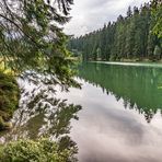 Grumbacher Teich IV - Goslar-Hahnenklee/Harz