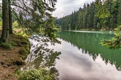 Grumbacher Teich IV - Goslar-Hahnenklee/Harz