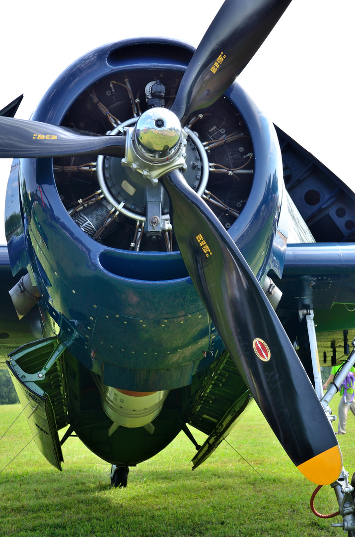 Grumman Avenger: Classic Warbird