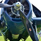 Grumman Avenger: Classic Warbird