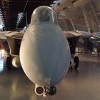 Grumman F-14 Tomcat Frontalansicht