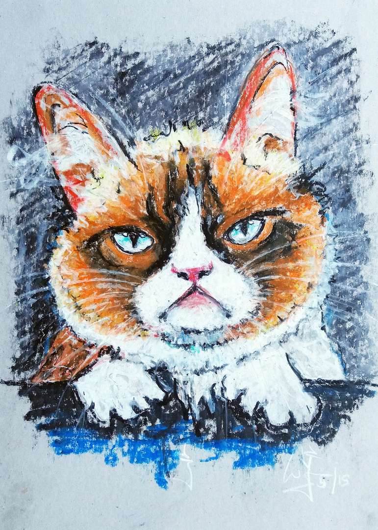 Grumpy cat ...3