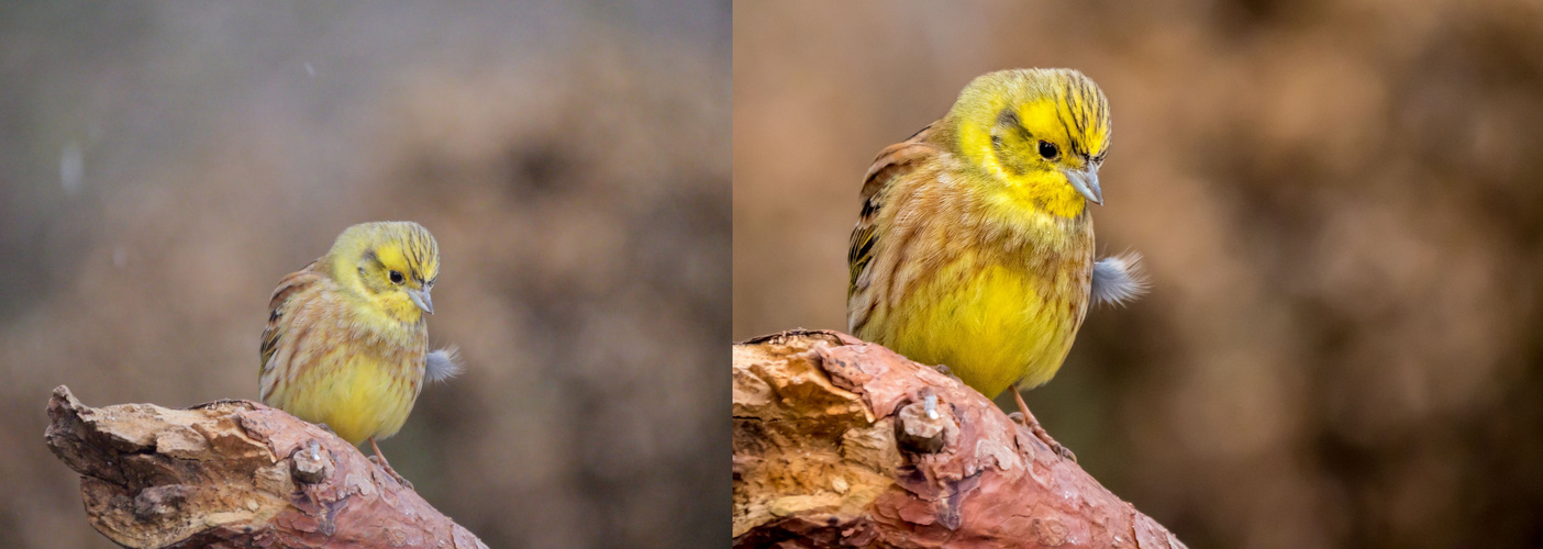 GRUNDBILD vs ENDBILD - ein Vergleich