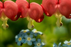 Grundfarben - im Garten zu Hause