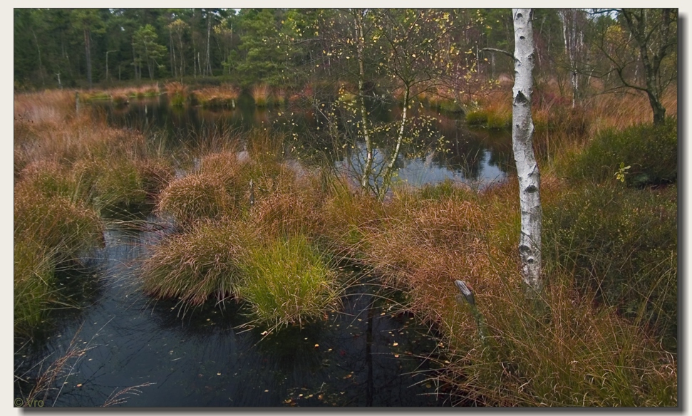 Grundloses Moor