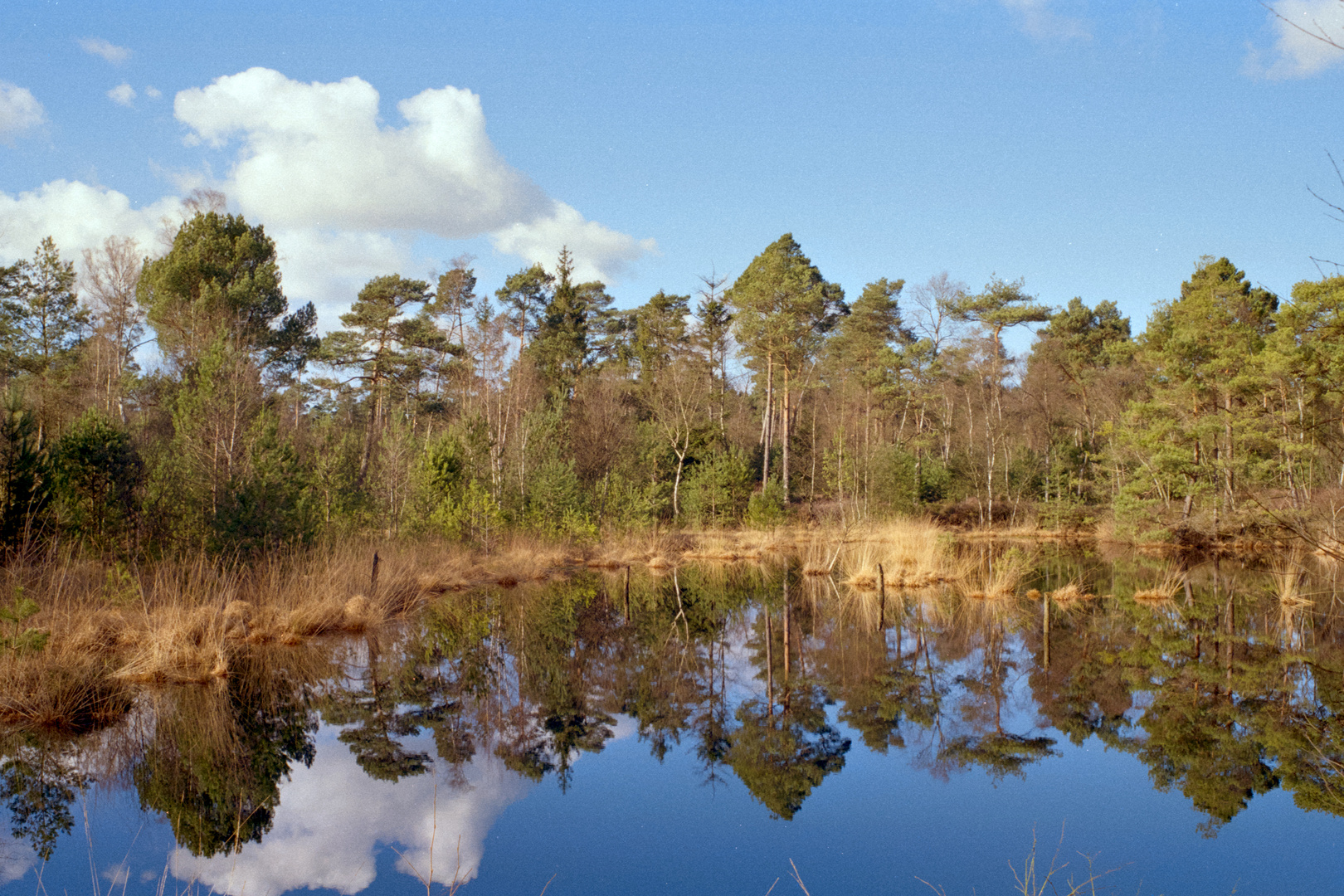 Grundloses Moor