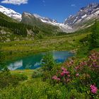 Grundsee im Sommer