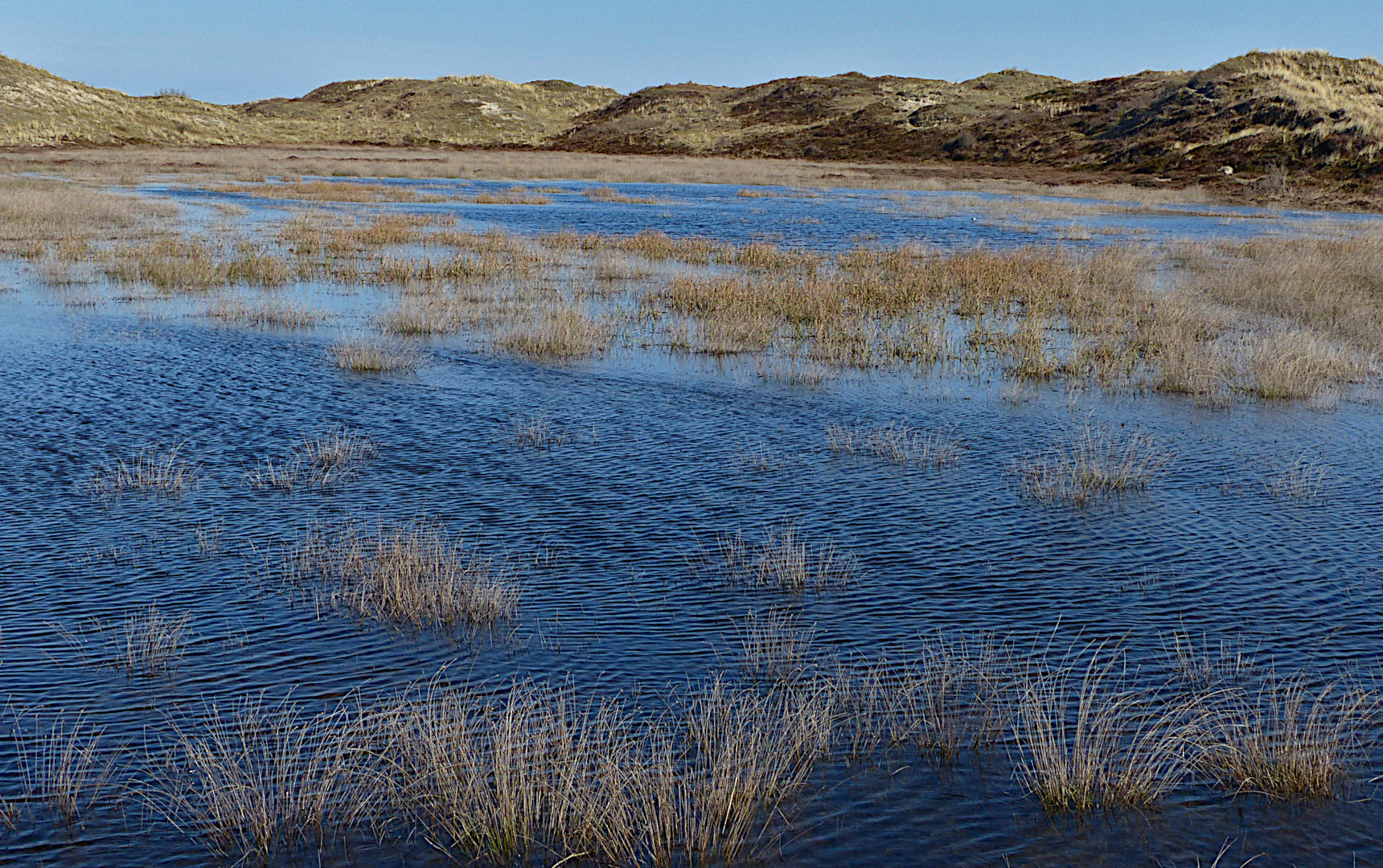 Grundwasser 