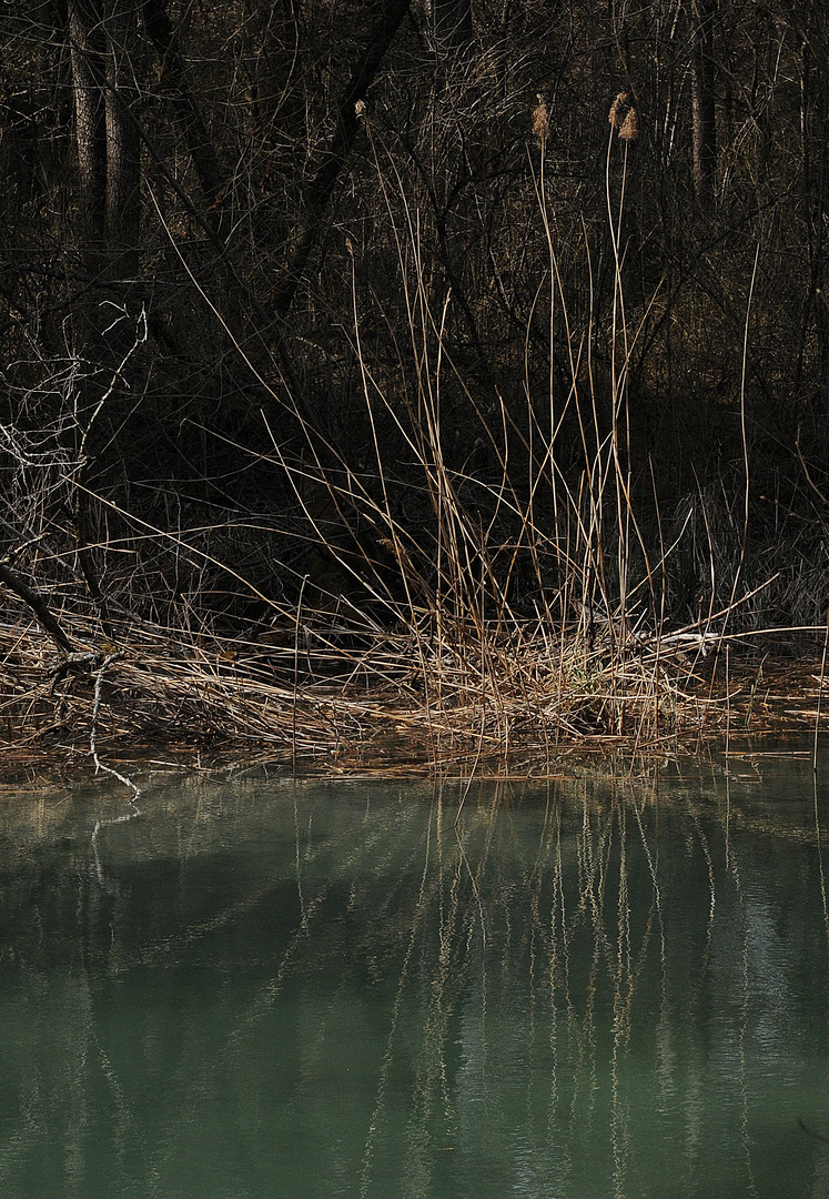 Grundwassersee an der Aare