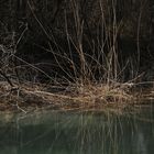 Grundwassersee an der Aare