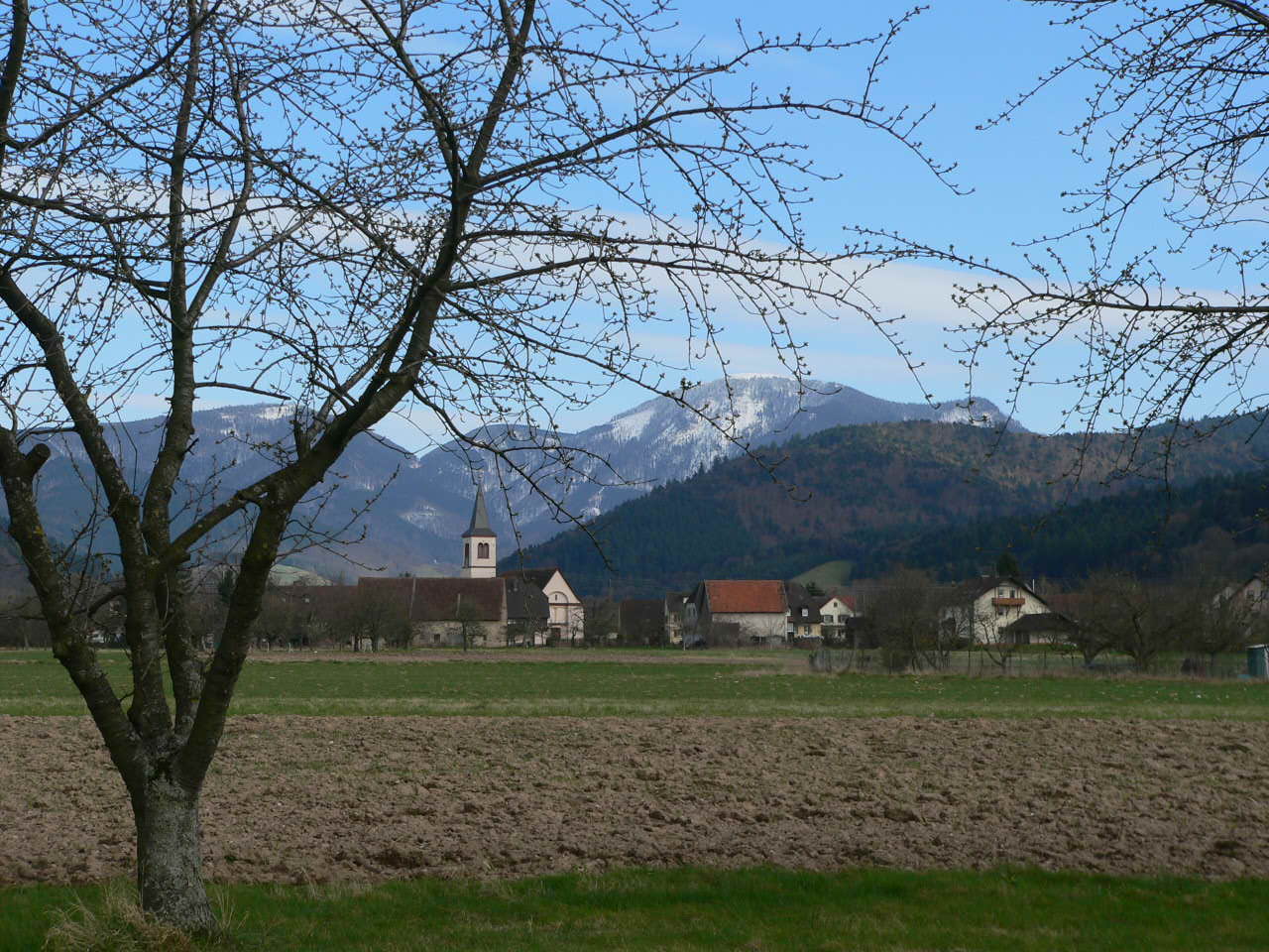 Grunern/Staufen und der Belchen