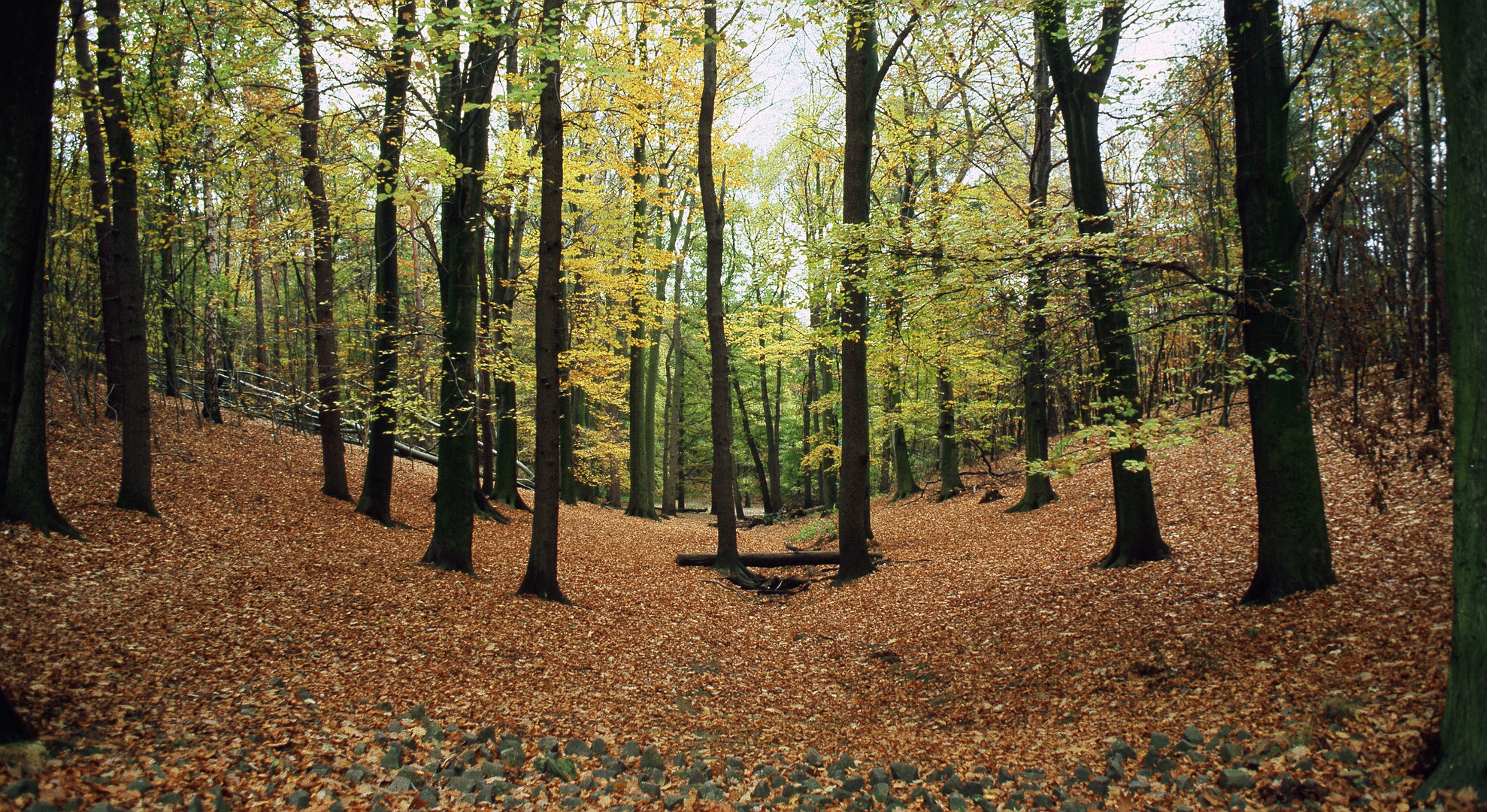 Grunewald, Berlin