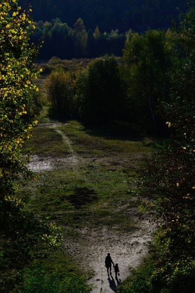 Grunewald in Berlin