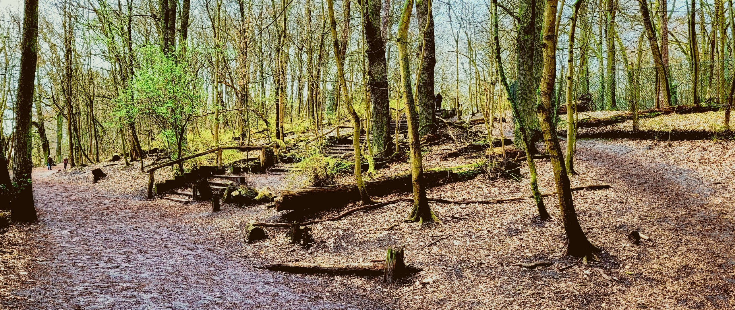 Grunewald menschenleer !