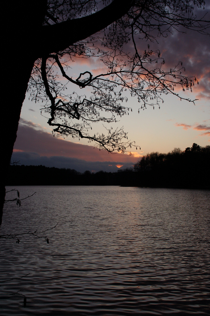 grunewaldsee ...