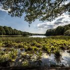 Grunewaldsee, Berlin