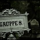 Gruppe 8.