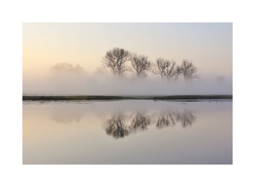 Gruppe im Nebel