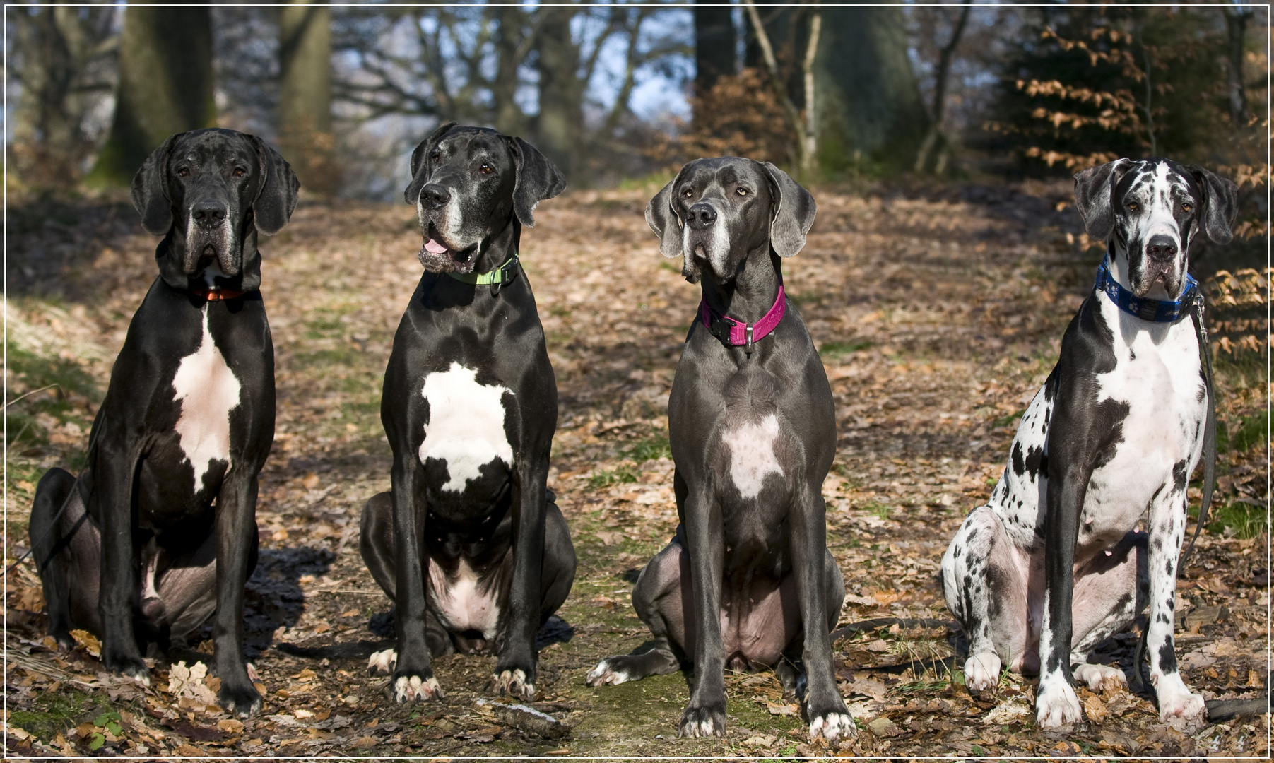 Gruppenbild