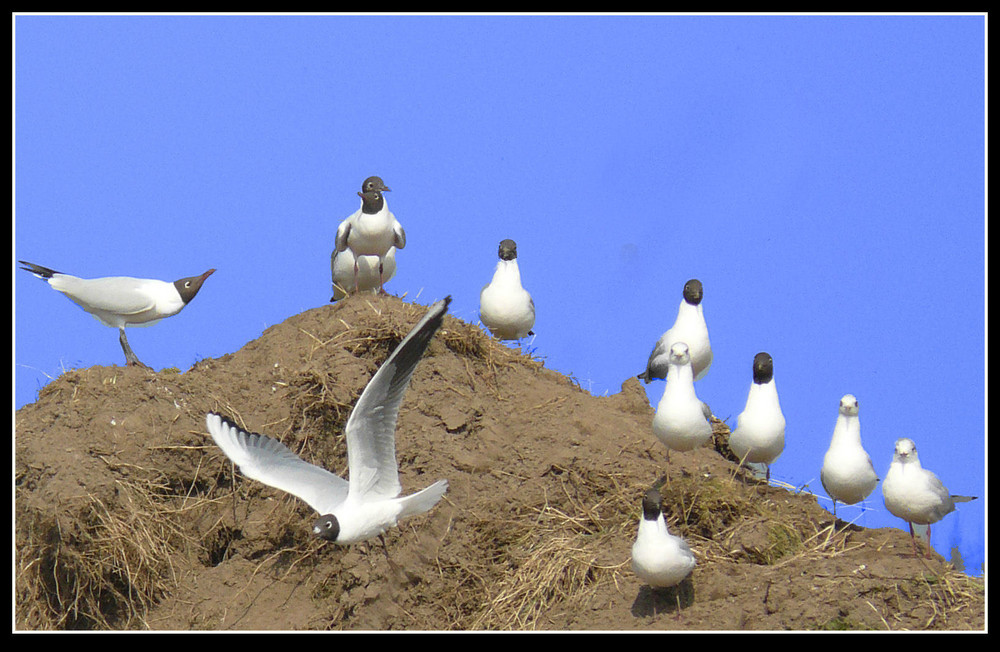 Gruppenbild