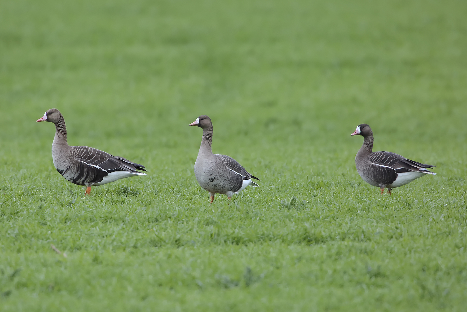 Gruppenbild