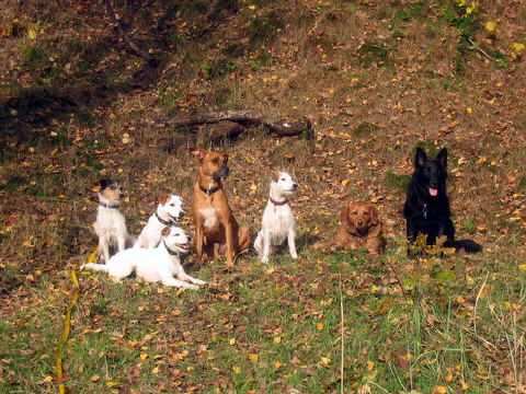 Gruppenbild