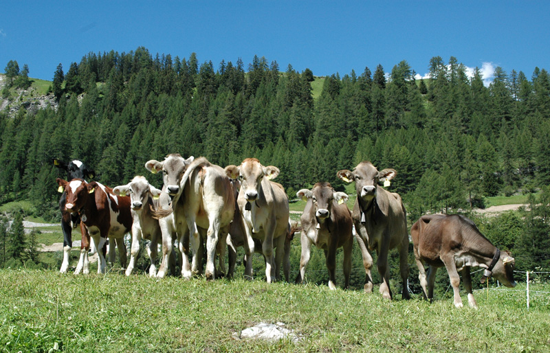 Gruppenbild