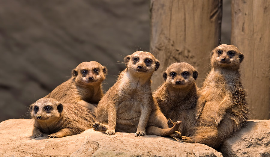 Gruppenbild