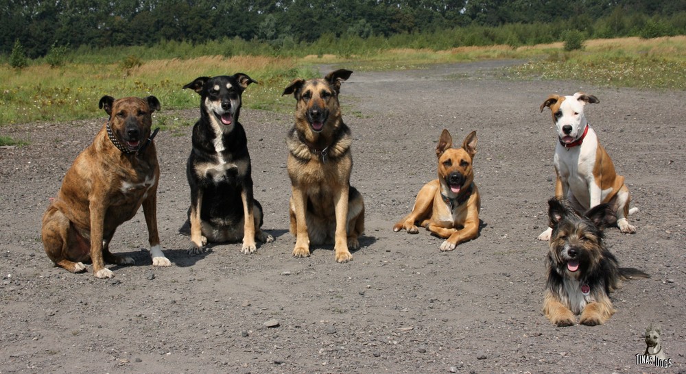 Gruppenbild