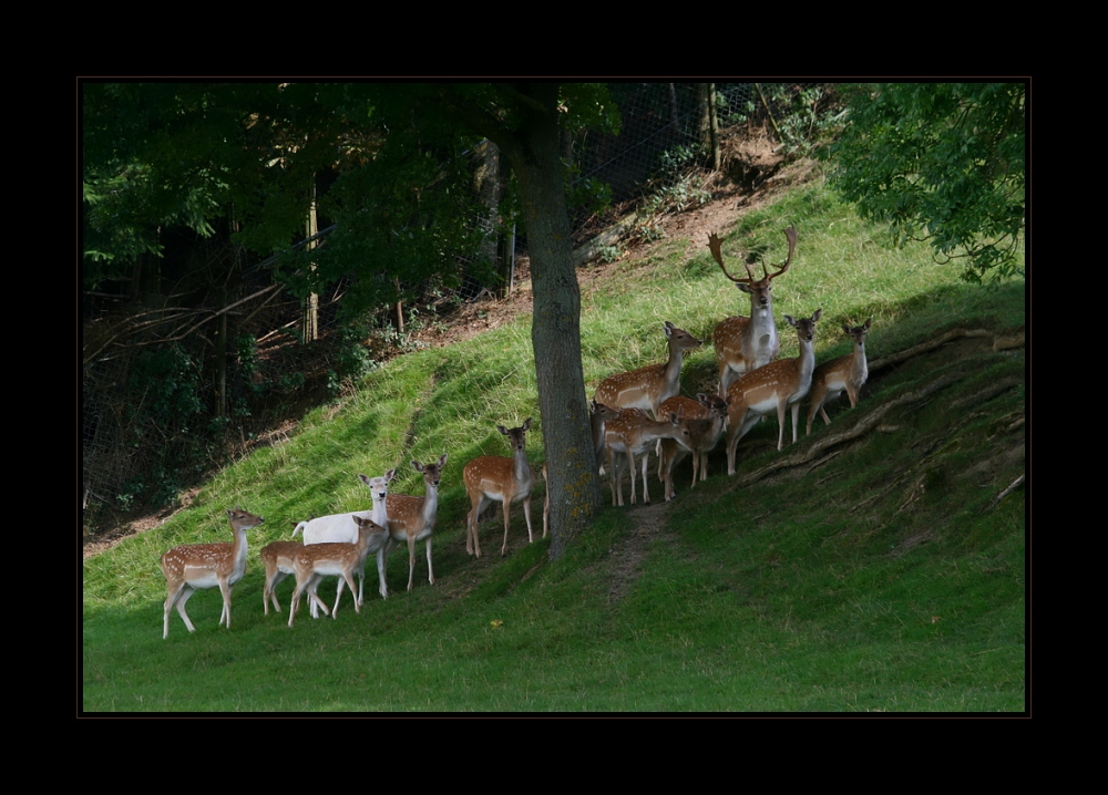 gruppenbild