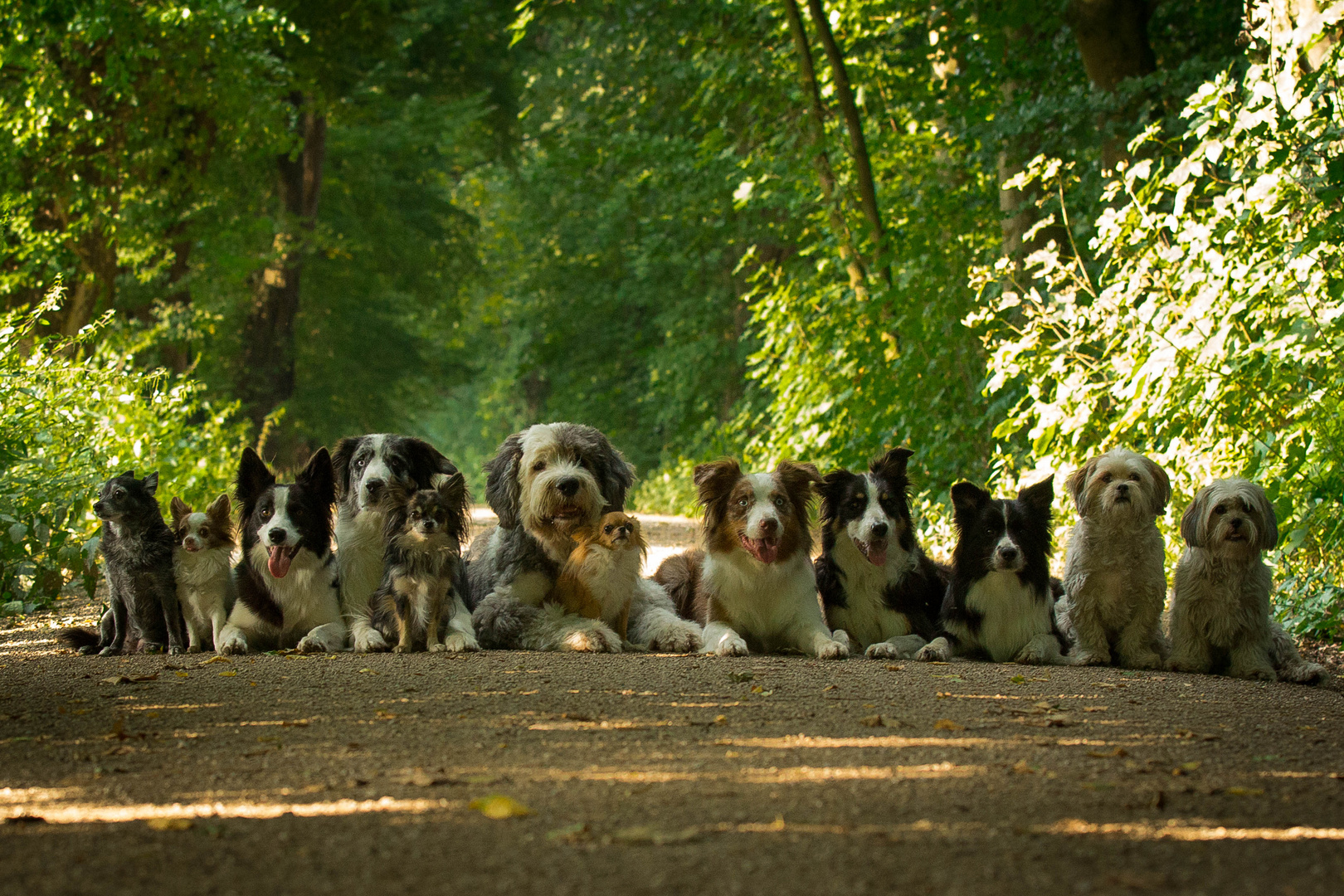 Gruppenbild