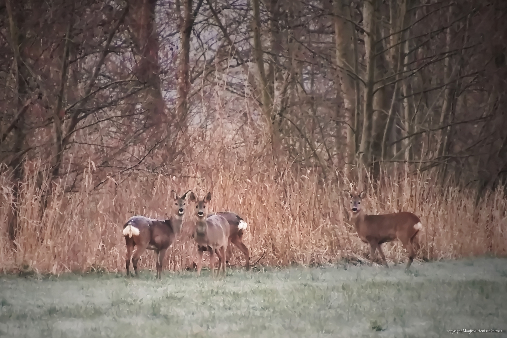 Gruppenbild 