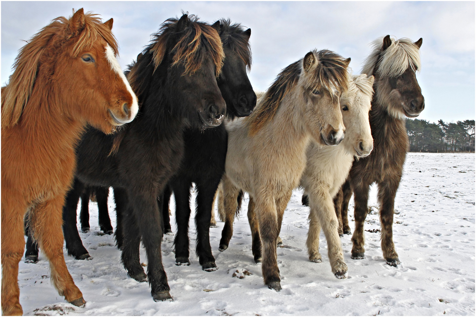 Gruppenbild