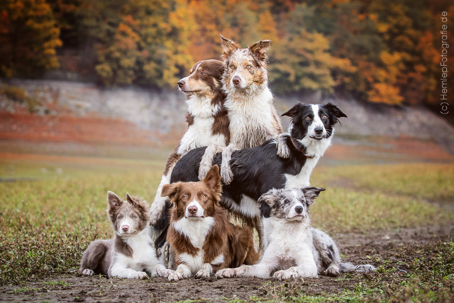 Gruppenbild für Fortgeschrittene