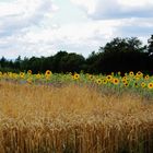 GRUPPENBILD Herr Sommer und Frau Herbst