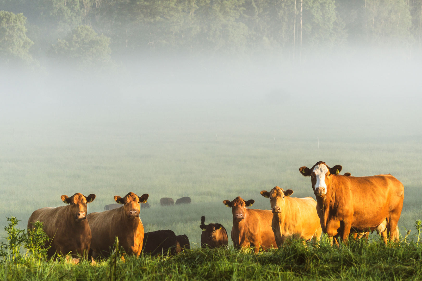 Gruppenbild in der Morgensonne