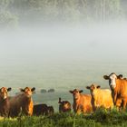 Gruppenbild in der Morgensonne