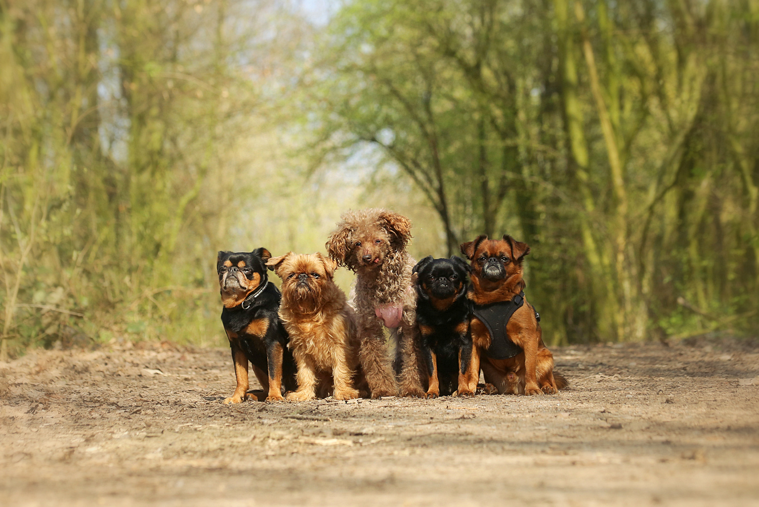 Gruppenbild mit Dame