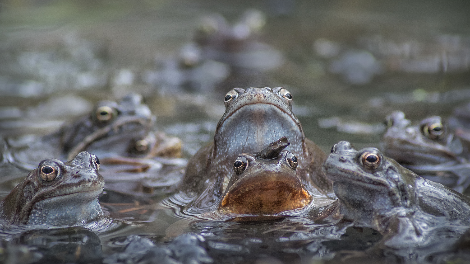 gruppenbild mit dame